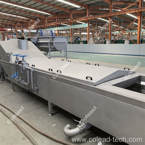 Vegetable and fruit precooking machine from Shandong Colead